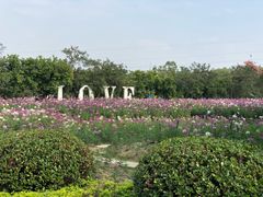 -广东花都香草世界旅游度假区