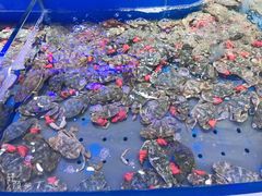 -澜悦港海鲜体验主题餐厅