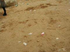 -瑶湖郊野森林公园