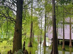-广州市白云山风景名胜区