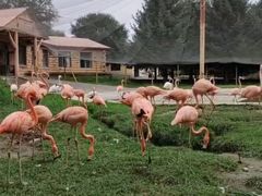 -哈尔滨北方森林动物园