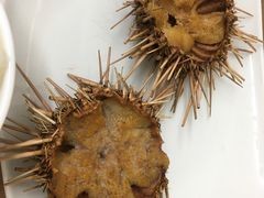 -海胆小馆(东北水饺·春柳店)