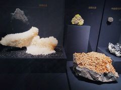 -山东博物馆