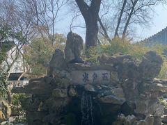 -上海醉白池公园