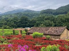 -广州市石门国家森林公园