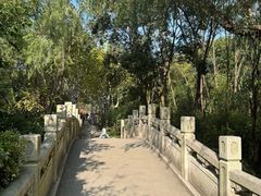 -新江湾城公园