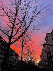 -莫莉幻想儿童乐园(北京天通苑华联店)