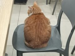 -珊珊小笼馆(仙霞路店)