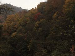 -秦岭风景区