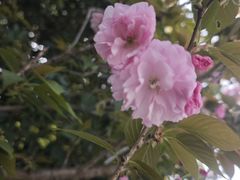 -同里国家湿地公园