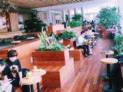 -Seesaw Coffee(朝阳大悦城店)