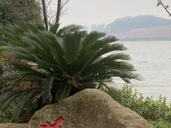 -团城山公园