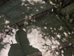 -三江森林温泉度假区