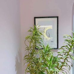 -LISSOM莉森 Nail ·美甲美睫原创定制店