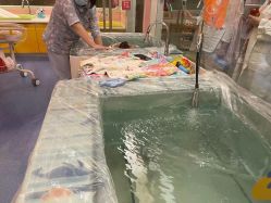 -金芙美月子中心(财富别墅店)
