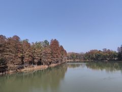 -东湖落雁景区