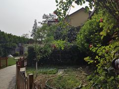 -T80科技文化国际社区-停车场