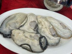 -花苑美食横琴生蚝火锅(拱北粤华路店)