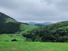 -大姆山草场
