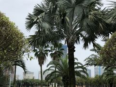 -万绿园