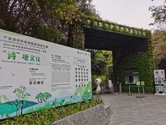-华侨城湿地公园