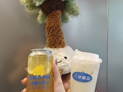 -冰椰岛椰冰(亚龙湾店)