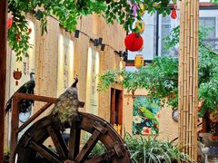 -大理董·董家小厨野生菌火锅(古城旗舰店)