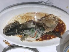-红菜坊·烤鸭·川鲁宴(石园店)