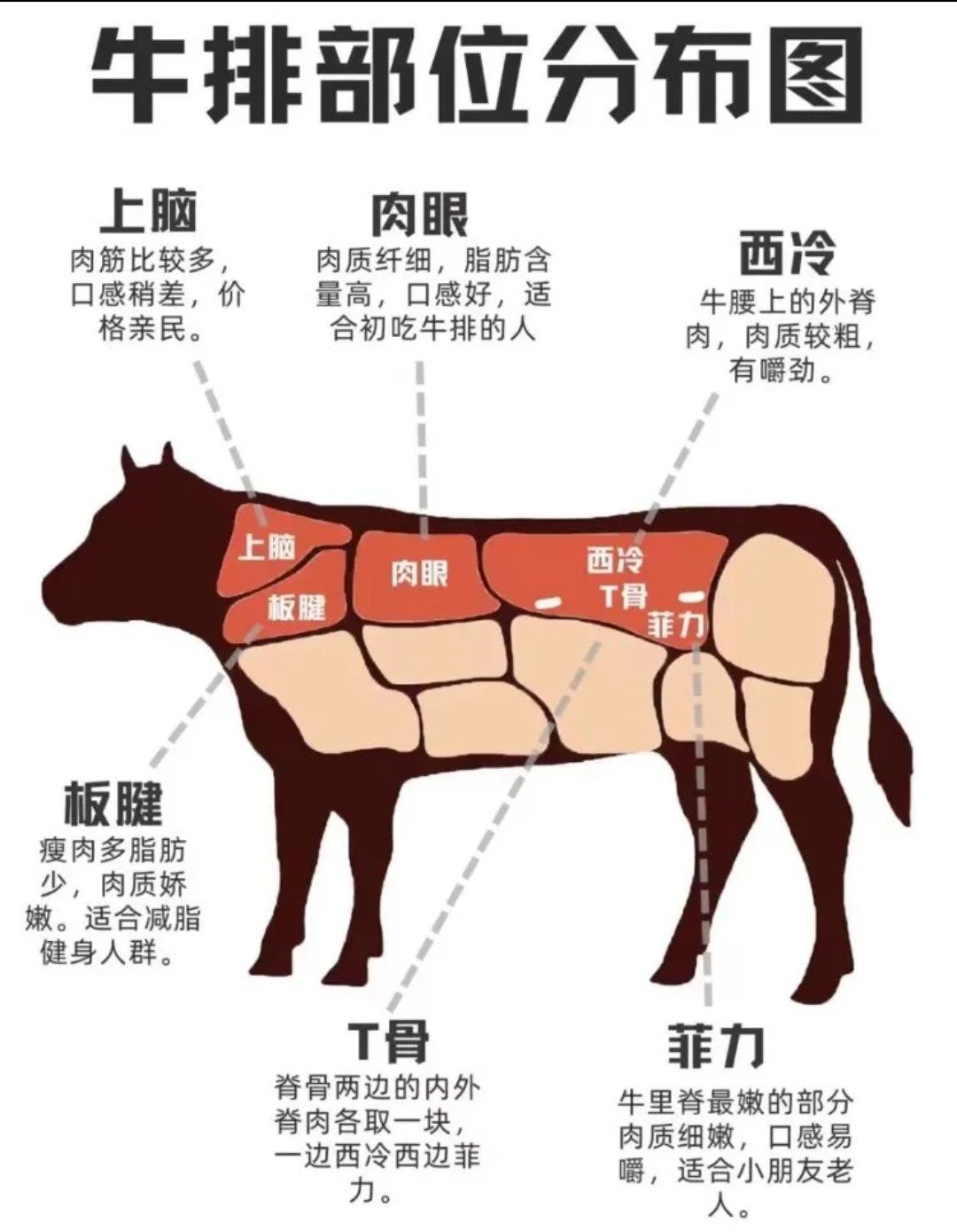 牛排部位👇🏻
上脑