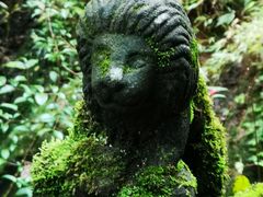 -青城山