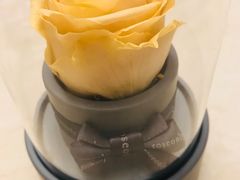 -ROSEONLY诺誓(青岛万象城店)