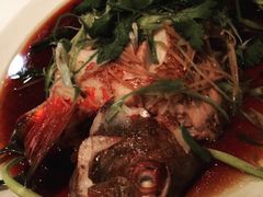 -食为先(Shark Fin)