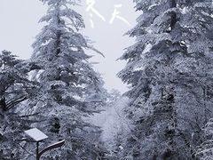 -王浩儿纪六孃甜皮鸭(乐山总店)