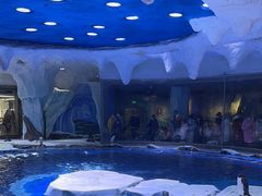 -上海海昌海洋公园