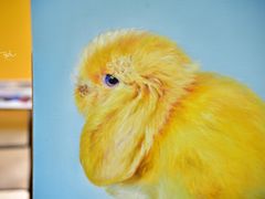 -Refn油画丨零基础定制油画