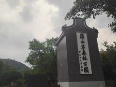 -滴水岩森林公园