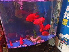 -湖庭壹品鸭王·传统北京烤鸭·别墅私房菜·庭院宵夜(江宁店)