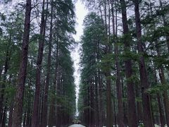 -渌洋湖湿地公园
