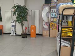 -全心全意动物诊疗中心医院(北苑店)