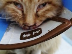 -天津前进宠物医院(前进道店)