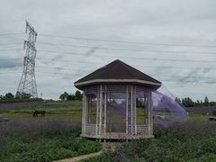 -紫颐香薰山谷景区