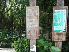 -大湾区中央湿地公园