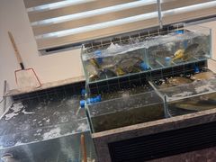 -西山人家·二十年老字号农家菜(旺山店)