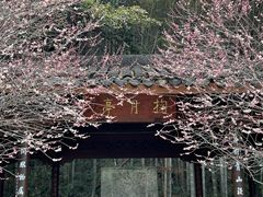 -杭州植物园