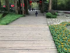 -青城道汤池