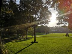 -合肥滨湖国家森林公园