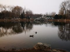 -东升八家郊野公园