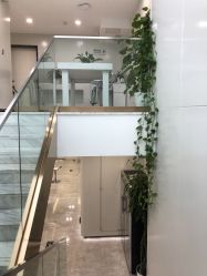 -悟空祛痘·诺奖技术专业店