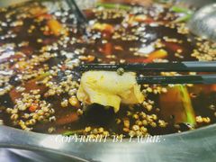 -重庆乌鱼庄·龙滋鲜(青羊大道店)