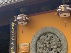 -野蔓果·山野菜(西湖景区·龙井茶田店)